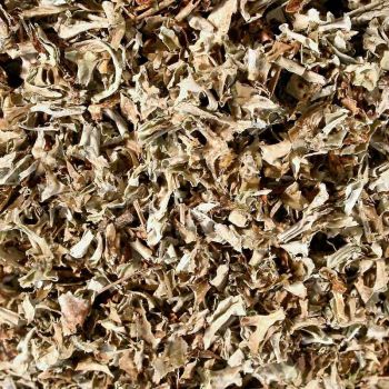 Island Moos 100 g